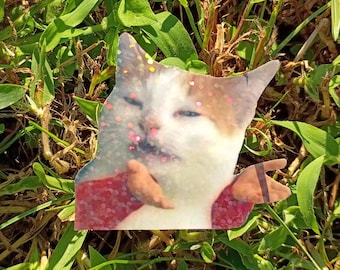 Confused Cat Sticker – Holographic Autumn Meme Cat Decal*Hand Cut*