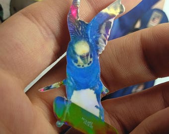 Skateboarding Bird Sticker – Holographic Extreme Avian Adventure Vinyl Decal*Hand Cut*