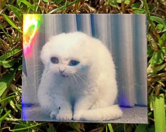 Crying Cat Sticker – Holographic Autumn Cozy Meme Decal*Hand Cut*
