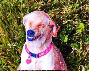 Funny Dog Sticker UV/WEATHERPROOF & WATERPROOF outdoor/indoor*Hand Cut*