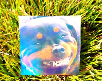 Rainbow Holographic Smiling Dog Sticker UV/WEATHERPROOF & WATERPROOF outdoor/indoor*Hand Cut*