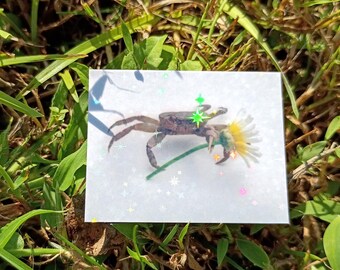 Crab Flower Sticker – Holographic Autumn Cozy Crab Decal*Hand Cut*