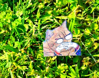Holographic Sticker ~ Scheming Cat Sticker UV/WEATHERPROOF & WATERPROOF outdoor/indoor*Hand Cut*
