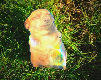 Holographic Sticker ~ Dog Meme Sticker UV/WEATHERPROOF & WATERPROOF outdoor/indoor*Hand Cut*