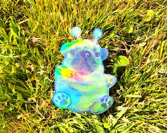Rainbow Holographic Pibble Sticker UV/WEATHERPROOF & WATERPROOF outdoor/indoor*Hand Cut*