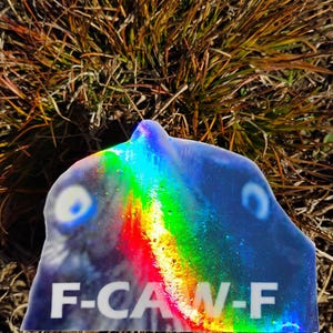 May include: A holographic sticker with a blue and rainbow color scheme. The sticker has a unique shape and features the text "F-CA W-F" in white. The sticker is placed on a bed of dry grass.