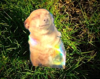 Holographic Sticker ~ Dog Meme Sticker UV/WEATHERPROOF & WATERPROOF outdoor/indoor*Hand Cut*