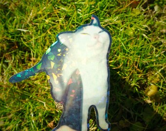Holographic Sticker ~ Cat Sticker UV/WEATHERPROOF & WATERPROOF outdoor/indoor*Hand Cut*