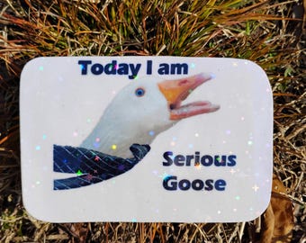 Serious Goose Sticker – Autumn Office Meme Bird Decal*Hand Cut*