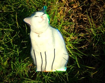 Holographic Sticker ~ Smug Cat Sticker UV/WEATHERPROOF & WATERPROOF outdoor/indoor*Hand Cut*