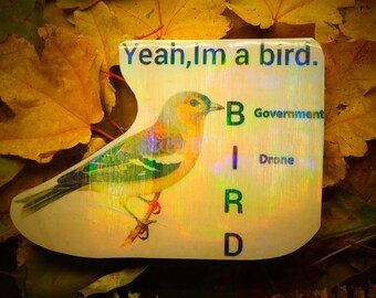 Holographic Sticker ~ Bird Sticker UV/WEATHERPROOF & WATERPROOF outdoor/indoor*Hand Cut*