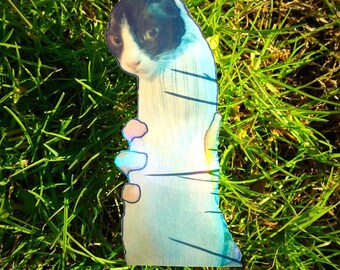 Holographic Sticker ~ Sock Cat Sticker UV/WEATHERPROOF & WATERPROOF outdoor/indoor*Hand Cut*