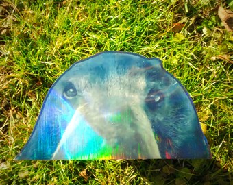 Holographic Sticker ~ Bear Sticker 7x4 inch UV/WEATHERPROOF & WATERPROOF outdoor/indoor*Hand Cut*