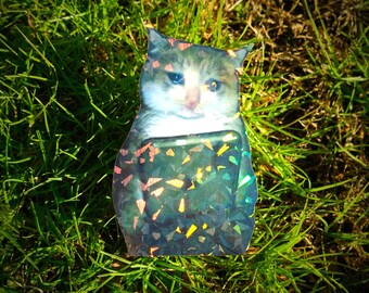 Holographic Sticker ~ Sad Cat Sticker UV/WEATHERPROOF & WATERPROOF outdoor/indoor*Hand Cut*