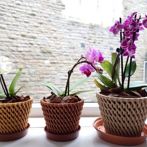 Op de afbeelding: Drie gepotte orchideeën met verschillende gekleurde bloemen. De orchideeën staan in bruine, beige en lichtbruine geweven potten met drainagebakken.