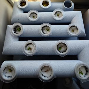 Peut inclure: Un syst&egrave;me hydroponique blanc avec plusieurs plants en d&eacute;marrage poussant dans des gobelets en plastique transparent individuels. Le syst&egrave;me est compos&eacute; de plusieurs tuyaux connect&eacute;s avec une surface textur&eacute;e.
