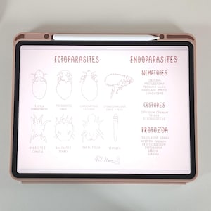 Parasite Poster Veterinary Nurse Ectoparasites Endoparasites Revision Resources Student Vet