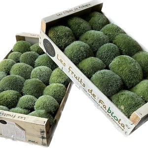 Puede incluir: Dos cajas de madera llenas de objetos esféricos verdes. Las cajas tienen texto en francés, "Les fruits de Fabiola". Los objetos parecen ser un tipo de fruta o artículo decorativo, con una apariencia texturizada similar al musgo.