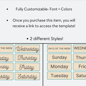 Modern Boho Vibes 7 Days of the Week Flashcards | Neutral Classroom Decor