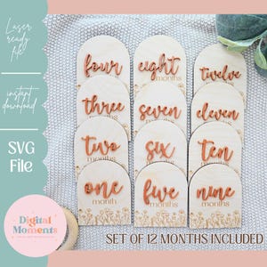 Fleurs sauvages Svg d'étapes mensuelles, Svg d'étapes mensuelles pour bébé fille, Svg d'étapes importantes pour les cartes, Svg d'accessoire photo de bébé, Svg d'étapes importantes de bébé