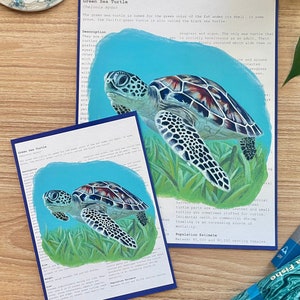 Green Sea Turtle Painting Art Print | Sea Turtle Wall Art | Sea Turtle Acrylic Painting | Marine Wildlife Art | Sea Turtle Fact Art