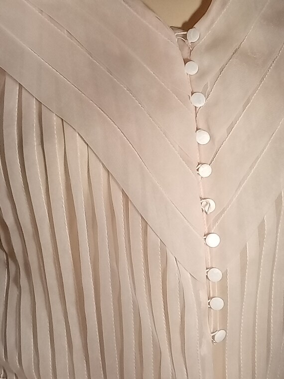 Women's Sheer light pink/blush blouse with pleated fr… Gem