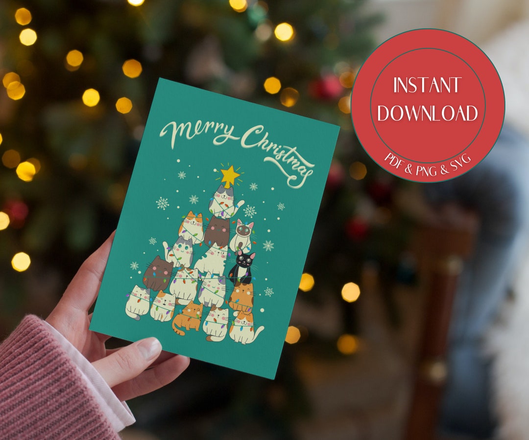 Cat Christmas Card Merry Christmas Funny Christmas Card Christmas cat-christmas-card-merry-christmas-funny-christmas-card-christmas