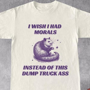 Funny Retro Raunchy Unhinged Shirt, Vintage Shirt, Y2K Funny Dank Meme, Weirdcore, Sarcastic Tee, Humorous Tee, Offensive Shirt, Gag Gift