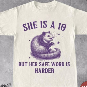 Funny Retro Raunchy Unhinged Shirt, Vintage Possum Shirt, Y2K Funny Dank Meme, Weirdcore, Sarcastic, Humorous Tee, Offensive Shirt, Gag Gift