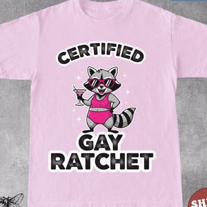 Maglietta divertente, volgare e imbarazzante, umorismo per adulti, maglietta inappropriata degli anni '90, maglietta offensiva, meme della Generazione Z, regalo scherzo, regalo scherzo, maglietta LGBTQ