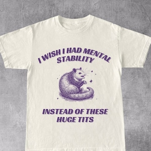 Funny Retro Raunchy Unhinged Shirt, Vintage Shirt, Y2K Funny Dank Meme, Weirdcore, Sarcastic Tee, Humorous Tee, Offensive Shirt, Gag Gift