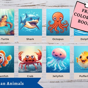 ANIMALES DEL OCÉANO (imágenes de dibujos animados) *16 Tarjetas Montessori -> Nomenclatura de tarjetas Flash-> Tarjetas FlashCards PDF Tarjetas imprimibles preescolar