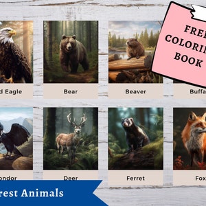 May include: Illustrations of forest creatures: a bald eagle, bear, beaver, buffalo, condor, deer, ferret, and fox. A pink sticky note says "FREE COLORING BOOK". The words "Forest Animals" are in a blue banner.