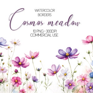 Kosmos weiderand, aquarel bloemenranden, wilde bloemen, zomerveld png, transparante achtergrond, bruiloft clipart, sublimatie png