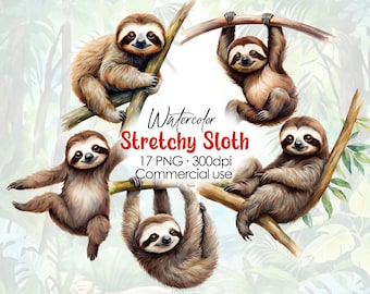 Watercolor Sloth Clipart, Stretching Yoga Sloths PNG, High Quality, Transparent background, Lazy jungle animals, Cute illustration, Wall Art