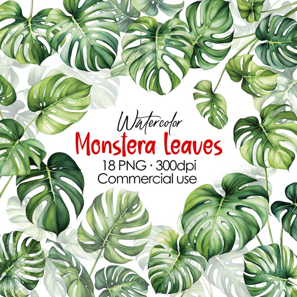 Watercolor Tropical leaves clipart, Monstera leaf PNG, Jungle tree illustration, Greenery, Transparent background, Digital download, Print