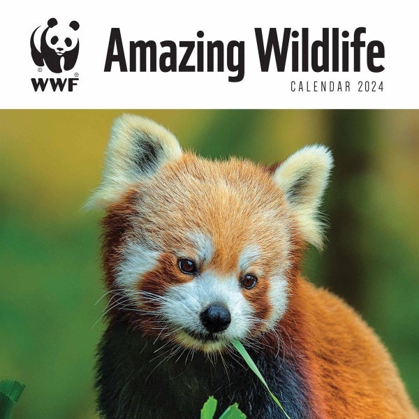 WWF Amazing Wildlife Official Calendar 2024 - Plastic Free Packaging