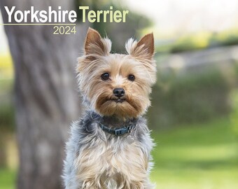 Wheaten Terrier Calendar 2024 Wheaten Terrier Calendar Wheaten