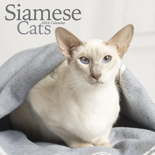 Cats - Siamese Calendar 2024