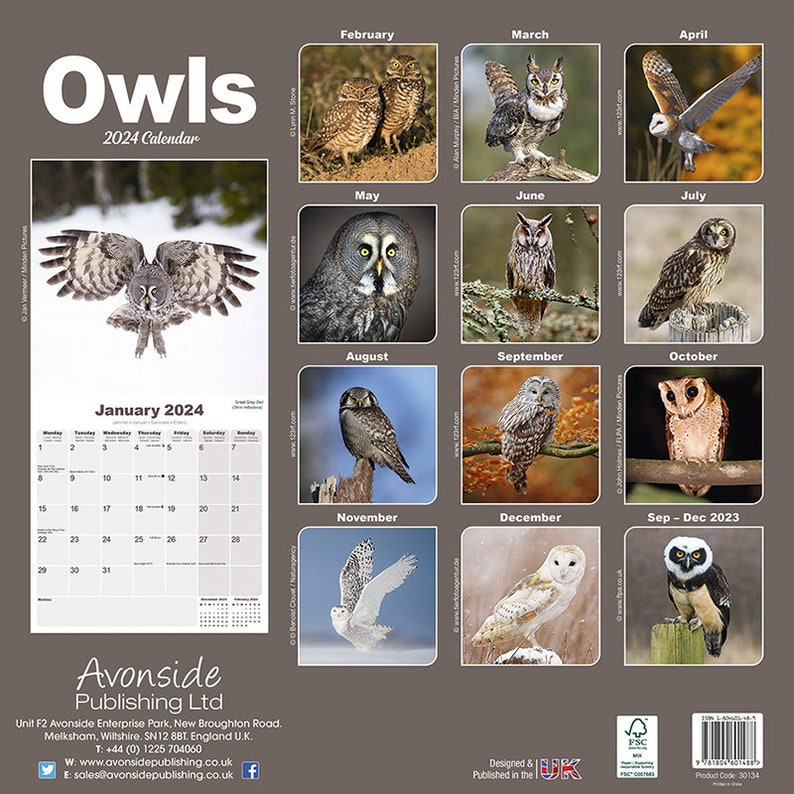 Owls Calendar 2024 Etsy