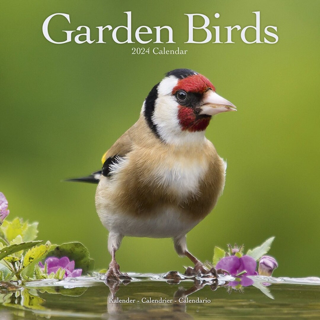Garden Birds Calendar 2024 Etsy