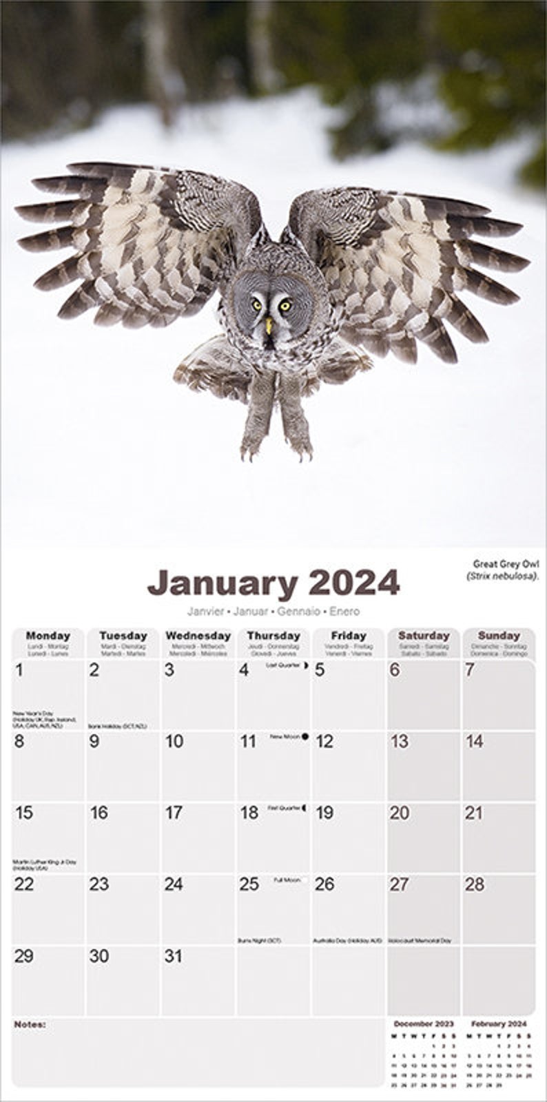 Owls Calendar 2024 Etsy