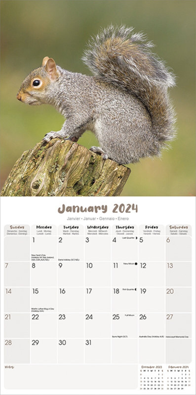 Squirrels Calendar 2024 Etsy