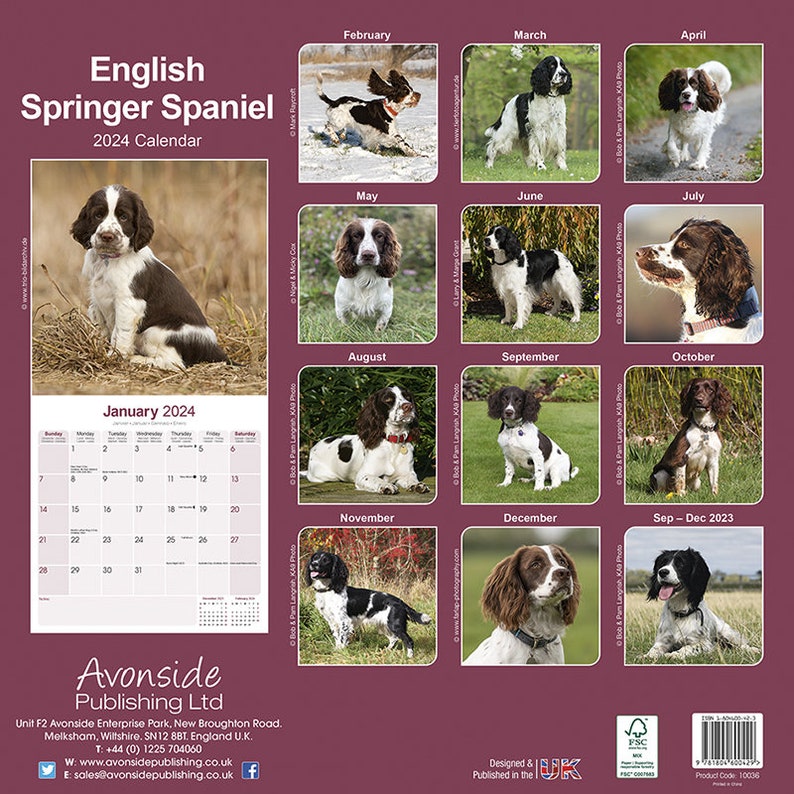 English Springer Spaniel Calendar 2024 Etsy