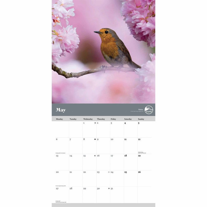RSPB Garden Birds PFP Calendar 2024 Plastic Free Packaging Etsy