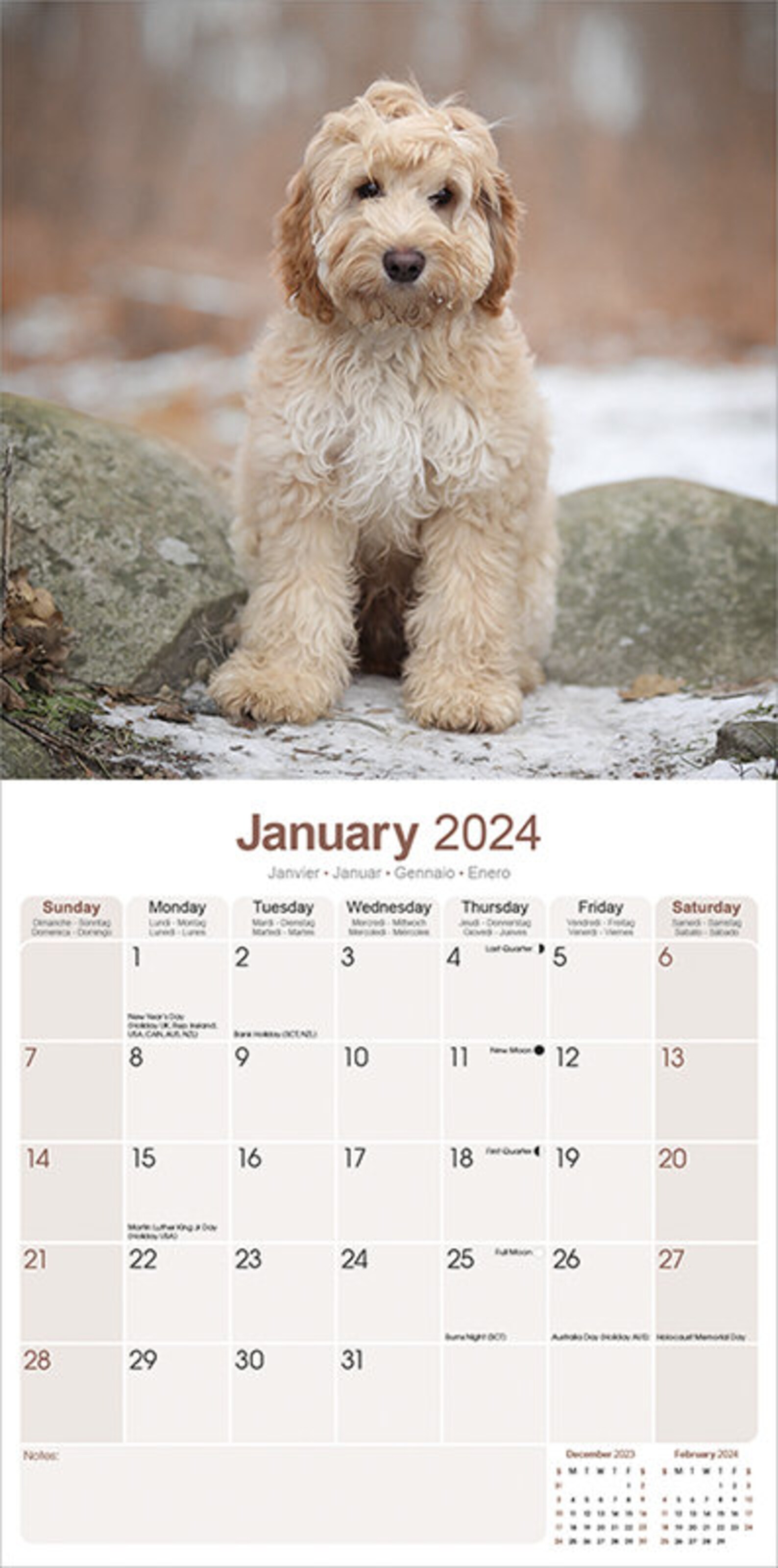 Cockapoo Calendar 2024 Etsy