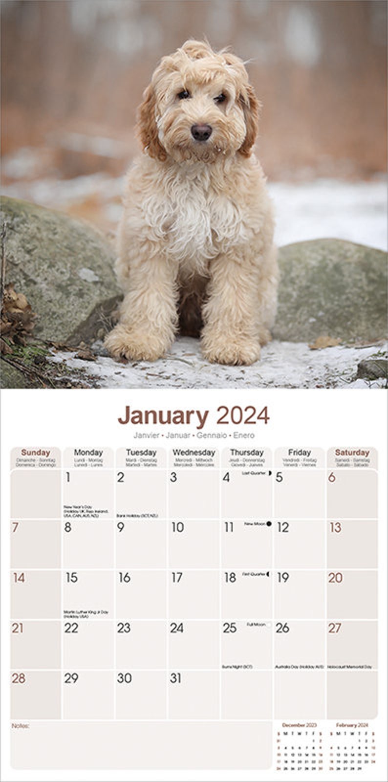 Cockapoo Calendar 2024 Etsy