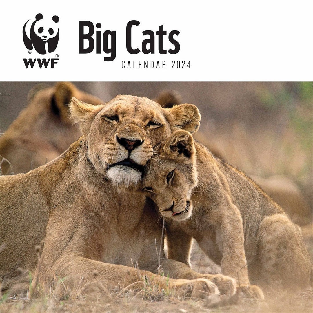 WWF Big Cats Official Calendar 2024 Plastic Free Packaging Etsy