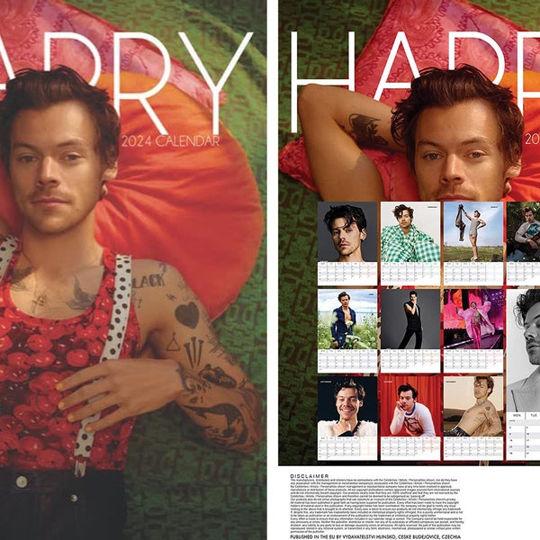 Harry Styles 2024 Calendar Etsy