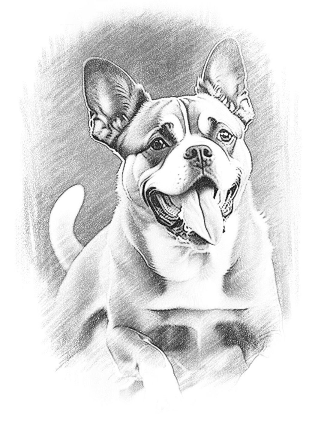 puppy-pencil-drawing-etsy